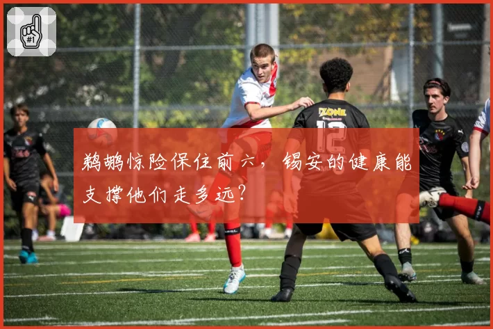 鹈鹕惊险保住前六，锡安的健康能支撑他们走多远？