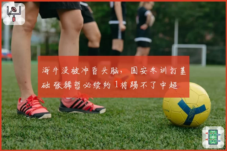 海牛没被冲昏头脑，国安冬训打基础 张稀哲必续约 1将踢不了中超